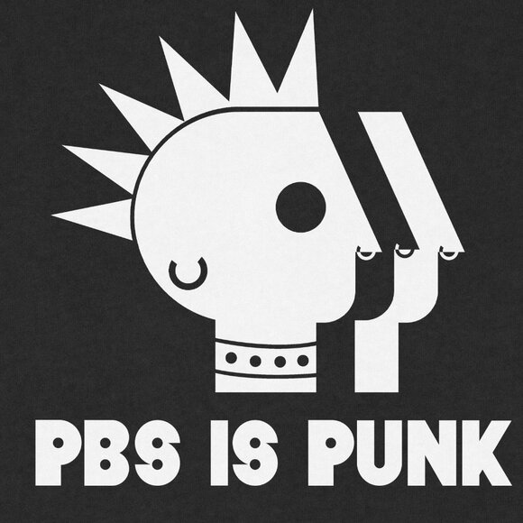 PBS Is Punk Shirt | Protect PBS Tee | Public Broadcasting Rebel Aesthetic Shirt - Picture 2 of 5